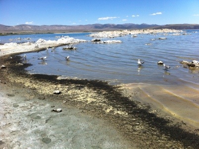 20120707-215531.jpg